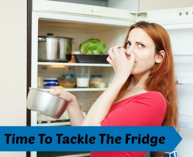 Time To Tackle The Fridge - Hillbilly Housewife